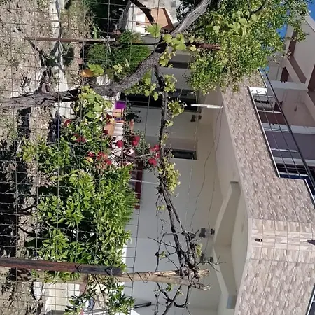 Arsonguest بيت ضيافة